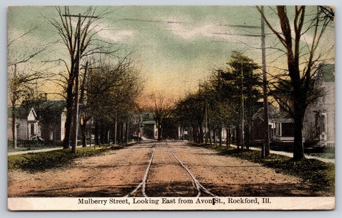 Rockford illinois mulberry - illinois,