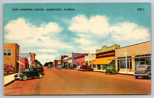 Vintage postcard homestead - vintage,